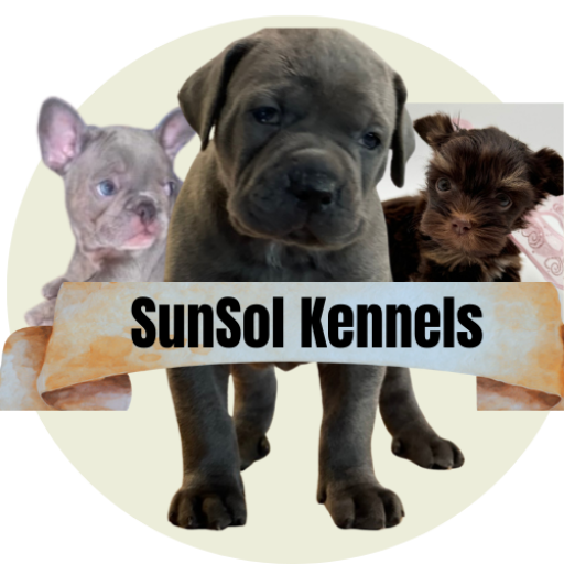 SunSol Kennels